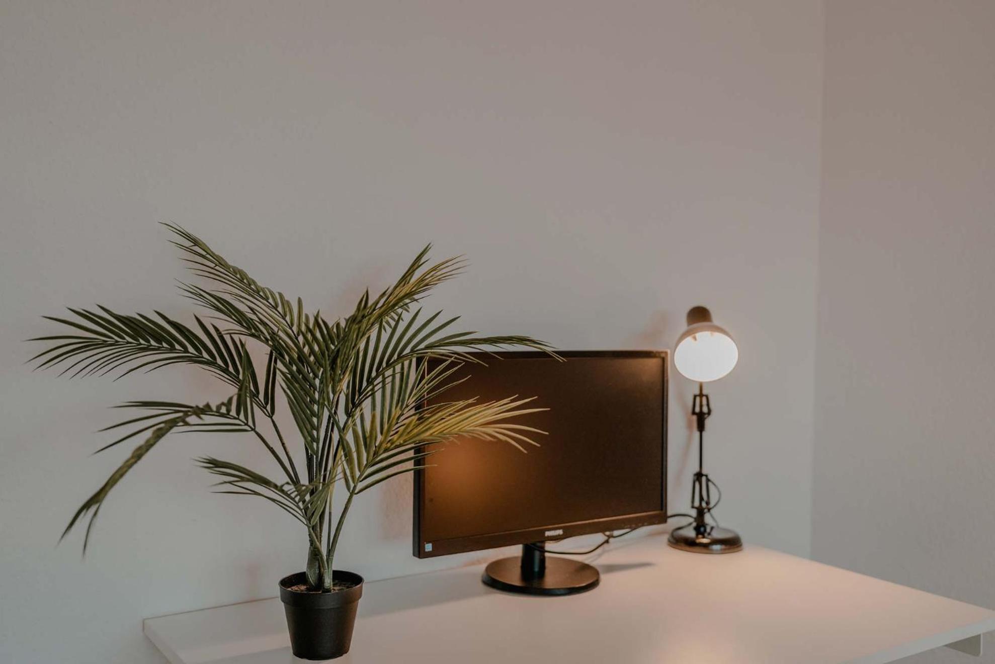 Apartment Mit Kueche, Arbeitsplatz Und Xxl Sofa Neuss Εξωτερικό φωτογραφία